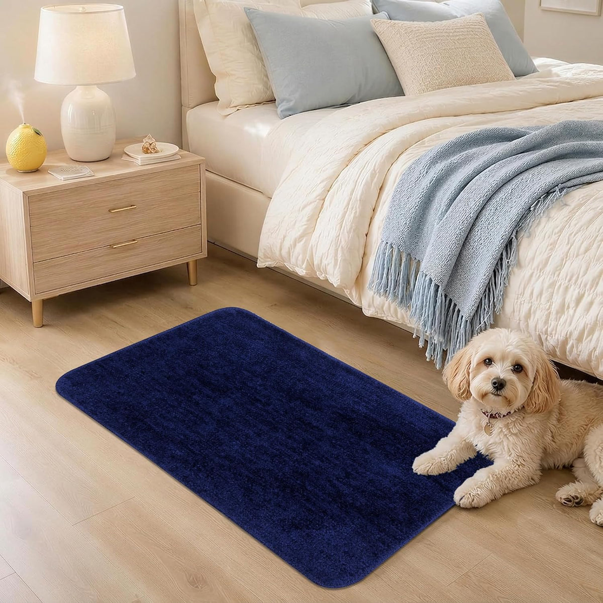 Bath Mat 40x60 cm | Soft Plush Quick Dry | Non-Slip Floor Mat